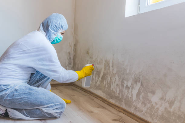Licensed Mold Inspection service in Friedens, PA - WQB Mold Removal